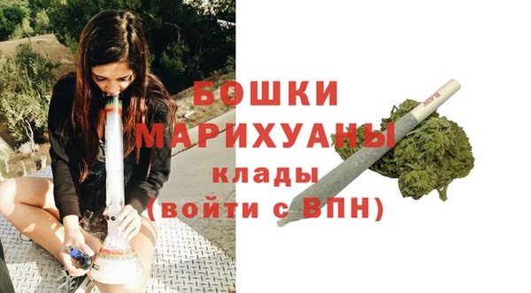 PSILOCYBIN Козловка