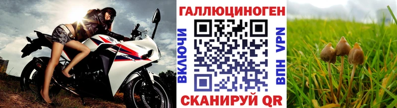 даркнет сайт darknet какой сайт Псилоцибиновые грибы Cubensis Абдулино